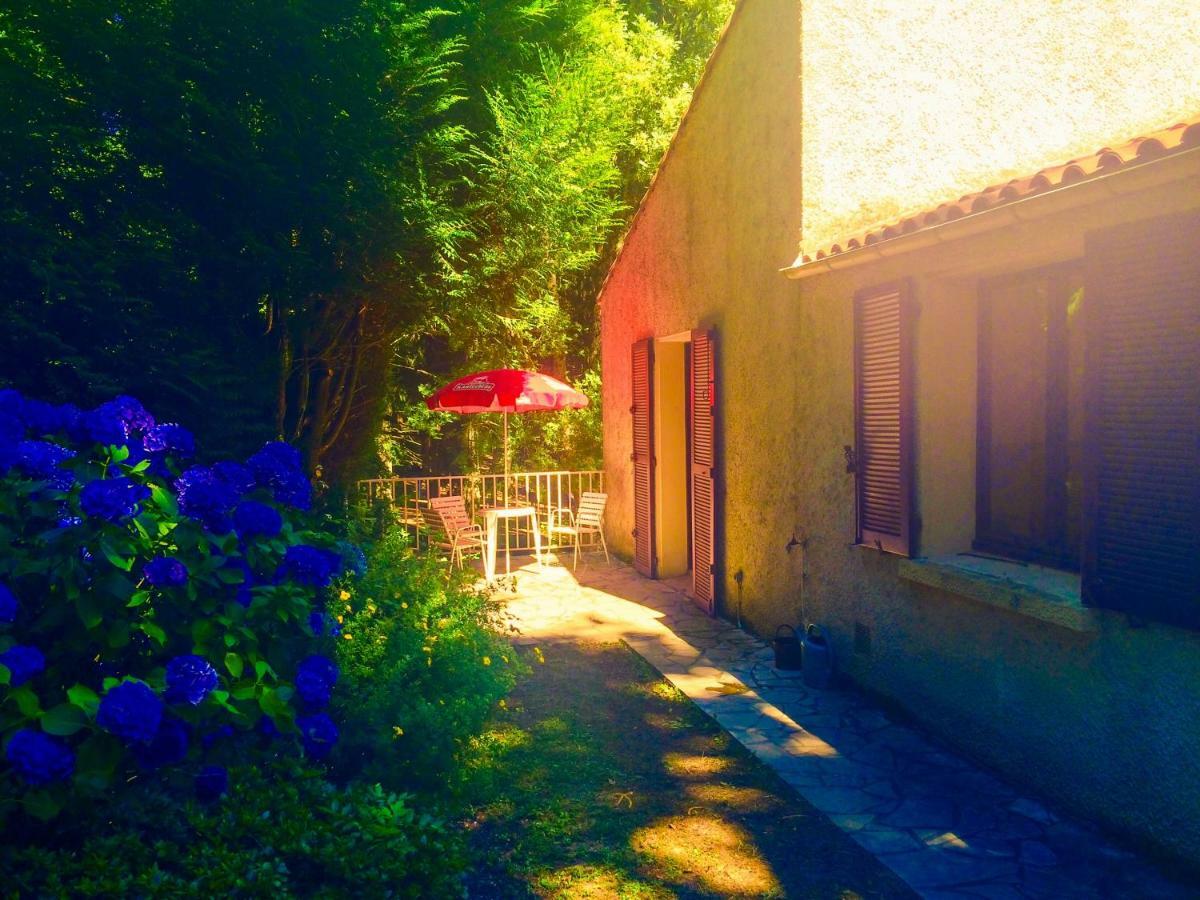 Duplex 1 Des Montagnes Apartment Mazamet
